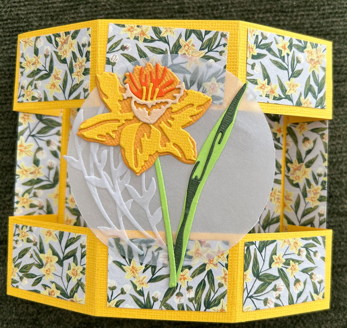 Floating hexagon card